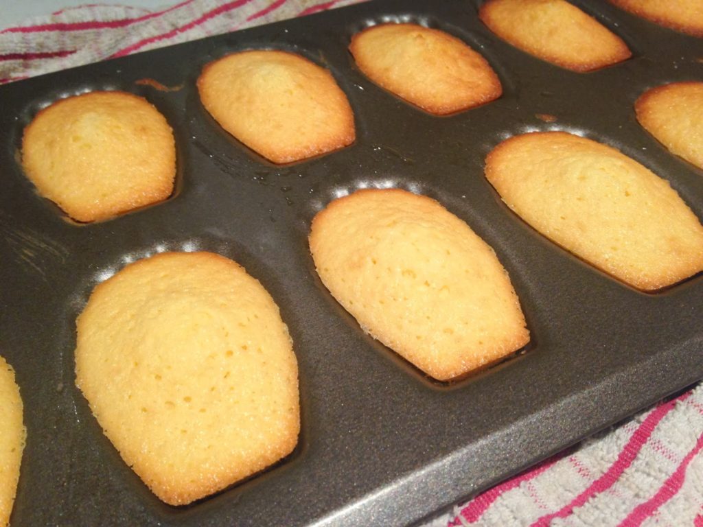 French Madeleines7