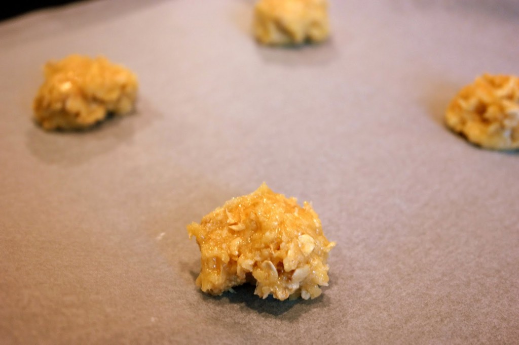 Golden Syrup Cookies – BakingBar